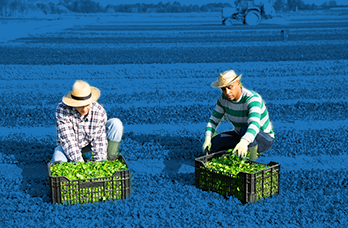 Farming Jobs Industry Tile Image