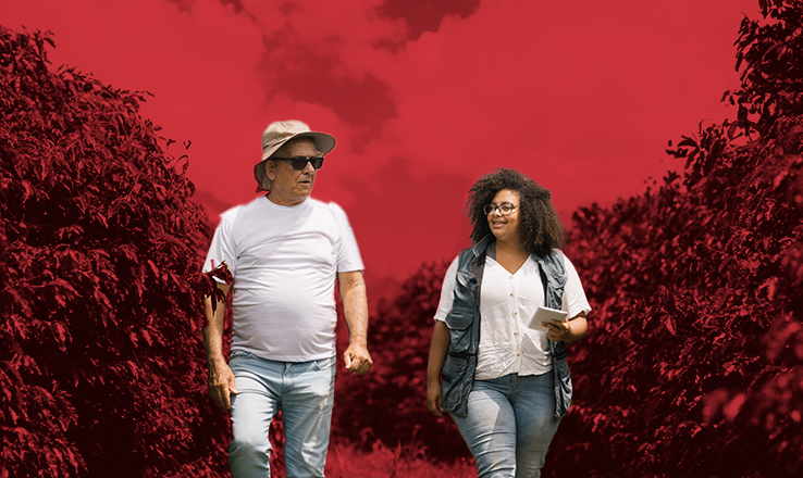 Temporary Agriculture Workers