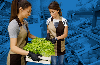 Temporary Retail Jobs