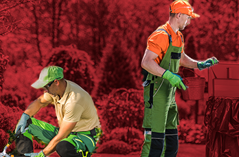 Landscaping Staffing Services Images