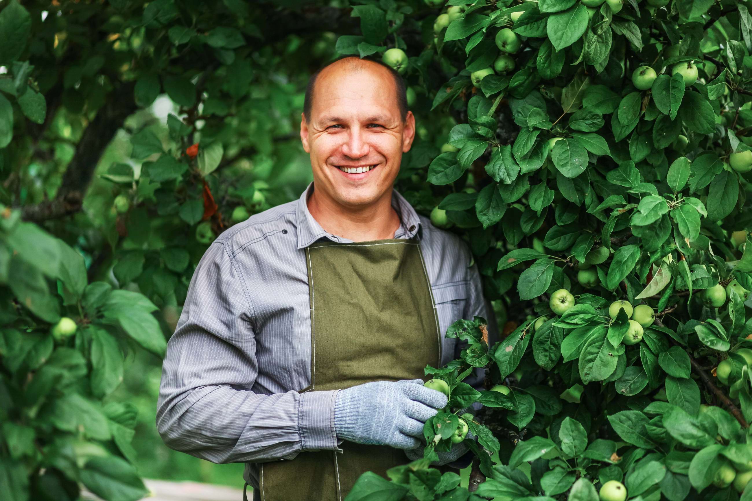 Working at a temp job