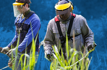 Landscaping Jobs Industry Tile Image